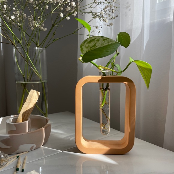 Propagation Vase - Picture 2 of 9